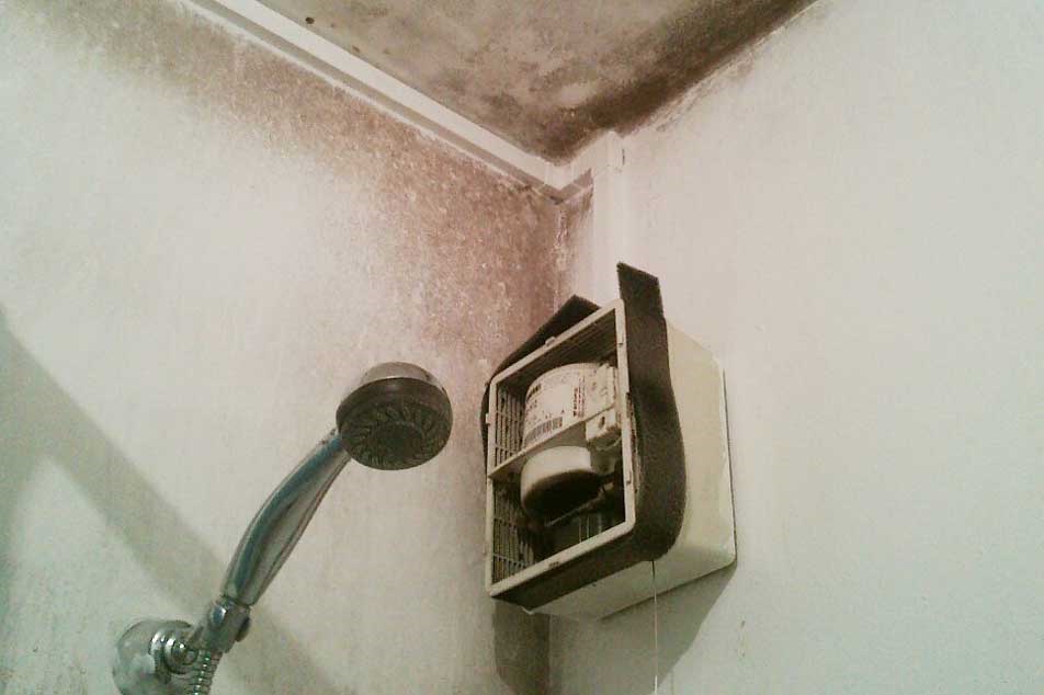 Condensation dampness - within bathroom - Property Care Association